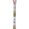 DMC Πολύχρωμο Νήμα για Κέντημα - Mouliné Coloris multicolore 517 4500