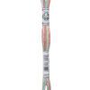 DMC Πολύχρωμο Νήμα για Κέντημα - Mouliné Coloris multicolore 517 4501