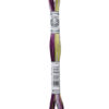 DMC Πολύχρωμο Νήμα για Κέντημα - Mouliné Coloris multicolore 517 4503
