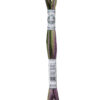 DMC Πολύχρωμο Νήμα για Κέντημα - Mouliné Coloris multicolore 517 4505