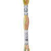 DMC Πολύχρωμο Νήμα για Κέντημα - Mouliné Coloris multicolore 517 4508