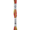 DMC Πολύχρωμο Νήμα για Κέντημα - Mouliné Coloris multicolore 517 4510