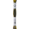 DMC Πολύχρωμο Νήμα για Κέντημα - Mouliné Coloris multicolore 517 4521